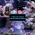 Aquarium bacteria shot 50 ml – clears cloudy water in 24 h – reduces ammonia & nitrite – biological live filter bacteria – ideal for new tanks & water changes – ARKA Bacto-Shot