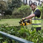 DEWALT DCM563PB-XJ 18 V 5 A XR Cordless Bare Unit Hedge Trimmer - Yellow