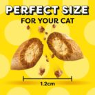 DREAMIES - Cat Treats - 12 x 60g - Multipack Biscuits - Variety Snack Box - 12 Pouches