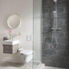 GROHE 40367001 Essentials Paper Holder with Lid Silver