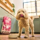 Lily's Kitchen Made with Natural Ingredients Adult Dry Dog Food Duck Salmon & Venison Grain-Free Recipe 2.5kg