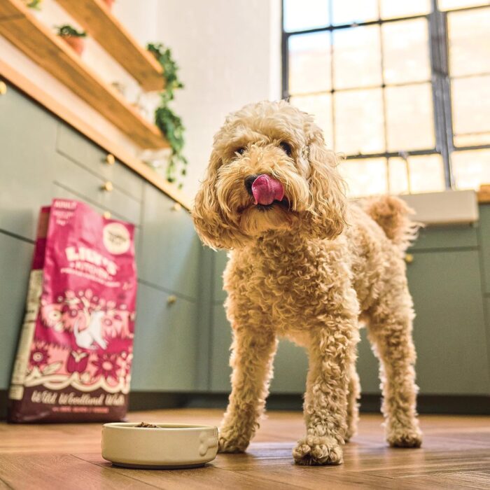 Lily's Kitchen Made with Natural Ingredients Adult Dry Dog Food Duck Salmon & Venison Grain-Free Recipe 2.5kg Lily's Kitchen Made with Natural Ingredients Adult Dry Dog Food Duck Salmon & Venison Grain-Free Recipe 2.5kg