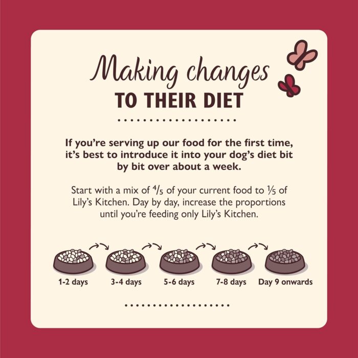 Lily's Kitchen Made with Natural Ingredients Adult Dry Dog Food Duck Salmon & Venison Grain-Free Recipe 2.5kg Lily's Kitchen Made with Natural Ingredients Adult Dry Dog Food Duck Salmon & Venison Grain-Free Recipe 2.5kg