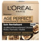 L'Oréal Paris Age Perfect Cell-Renaissance Day Cream 50 ml
