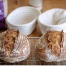 Matthews Cotswold Organic Stoneground Wholegrain Dark Rye Flour - 1.5kg Bag (Single Bag)