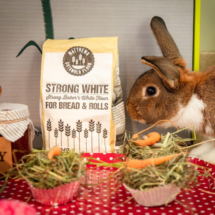 Matthews Cotswold Strong White Flour - 1.5kg Bag (Single Bag) Matthews Cotswold Strong White Flour - 1.5kg Bag (Single Bag)