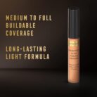 Max Factor Facefinity All Day Shade 70 Concealer 200 g