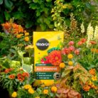 Miracle-Gro® Peat Free Premium All Purpose Compost 10 litres