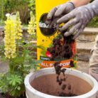 Miracle-Gro® Peat Free Premium All Purpose Compost 10 litres