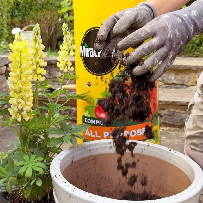 Miracle-Gro® Peat Free Premium All Purpose Compost 10 litres Miracle-Gro® Peat Free Premium All Purpose Compost 10 litres