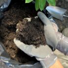 Miracle-Gro® Peat Free Premium All Purpose Compost 10 litres