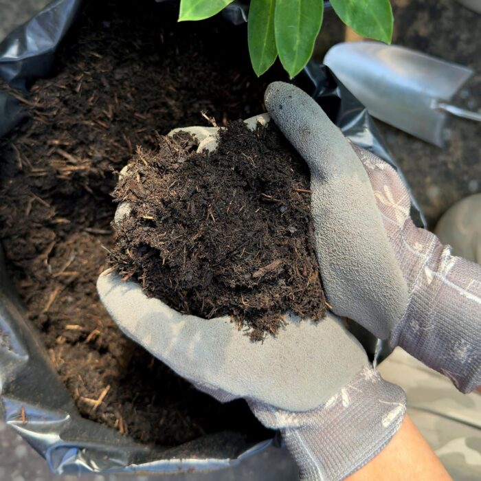 Miracle-Gro® Peat Free Premium All Purpose Compost 10 litres Miracle-Gro® Peat Free Premium All Purpose Compost 10 litres
