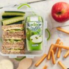 Radnor Fruits Apple 50% Fruit Juice Tetra Pak 60x125ml