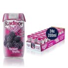 Radnor Fruits Apple 50% Juice Drink Tetra Pak 24x200ml