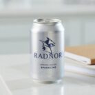 Radnor Sparkling Spring Water Cans - 330ml (Pack of 24)
