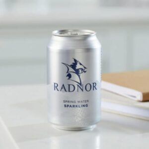 Radnor Sparkling Spring Water Cans - 330ml (Pack of 24)