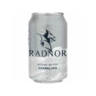 Radnor Sparkling Spring Water Cans - 330ml (Pack of 24)