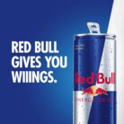 Red Bull Energy Drink 250 ml x 24