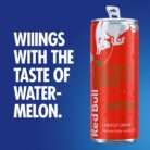Red Bull Energy Drink Red Edition Watermelon 250 ml x12