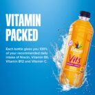 Rubicon Spring Vits Black Cherry Pomegranate Still Vitamin Water - 15 Calories per bottle for healthy hydration - Drinks Multipack 12 x 500ml Bottles