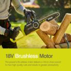 Ryobi OCS1830 18V ONE+ 30 Bar Cordless Brushless Chainsaw (Battery & Charger Excluded)