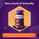 Sambucol Immuno Forte Gummies with Vitamin C & Zinc