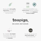 teapigs Chamomile & Manuka Honey Tea Bags - Soothing Camomile Herbal Tea Infusion with Manuka Honey - Naturally Caffeine-Free Detox Tea - 15 Biodegradable Tea Bags