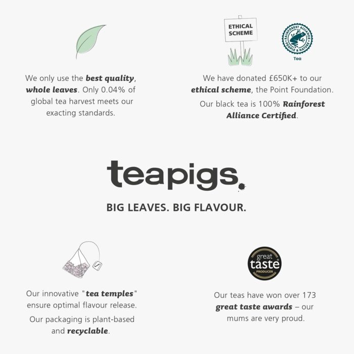 teapigs Decaf English Breakfast Tea - Decaffeinated Black Tea Bags for Breakfast or Anytime - Rich and Malty Blend - 15 Temples teapigs Decaf English Breakfast Tea - Decaffeinated Black Tea Bags for Breakfast or Anytime - Rich and Malty Blend - 15 Temples