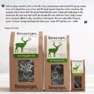 teapigs Mao Feng Green Tea - Green Tea Bags with Pure Mao Feng - Delicate and Natural Blend - 15 Temples