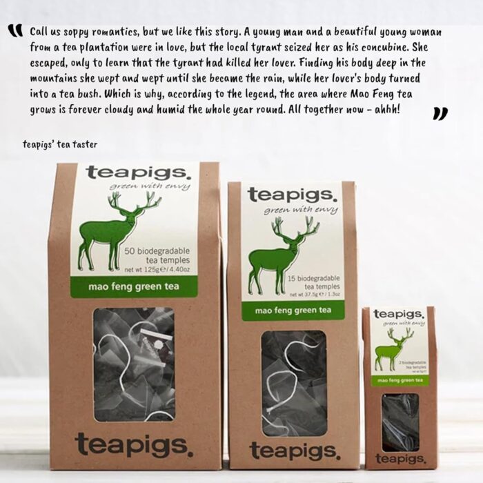 teapigs Mao Feng Green Tea - Green Tea Bags with Pure Mao Feng - Delicate and Natural Blend - 15 Temples