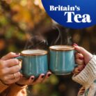 Tetley Original Black Tea Bags - Full Flavoured British Brew - Perfect for Breakfast or Anytime - Rainforest Alliance Certified - 240 Teabags (1 Pack)