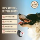 The Buffalo Co. Buffalo Horns for Dogs Large 6–8 Inch