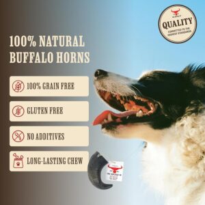The Buffalo Co. Buffalo Horns for Dogs Large 6–8 Inch