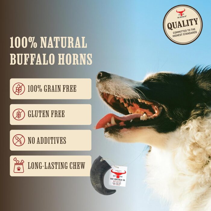 The Buffalo Co. Buffalo Horns for Dogs Large 6–8 Inch