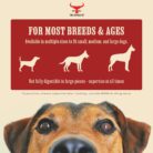 The Buffalo Co. Buffalo Horns for Dogs Large 6–8 Inch