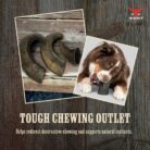 The Buffalo Co. Buffalo Horns for Dogs Large 6–8 Inch